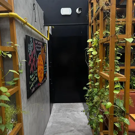 Casa Buliga 4 Crangasi Regie Orhideea Βουκουρέστι
