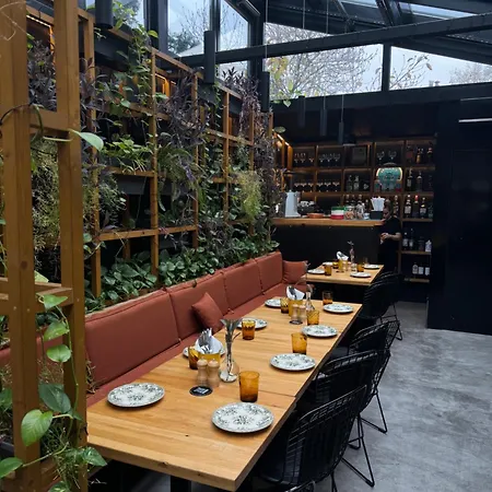 4 Regie Orhideea Daire Bükreş