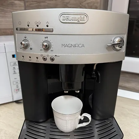 4 Regie Orhideea Daire *