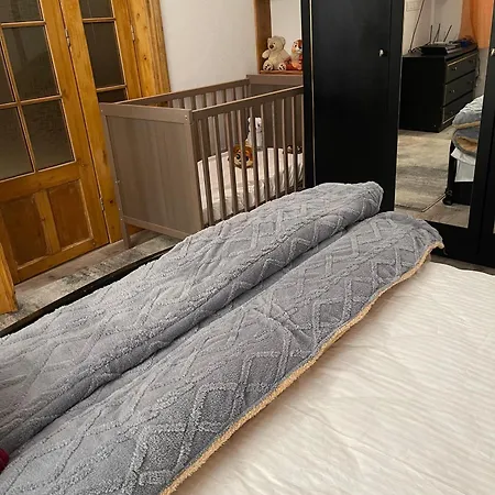 Casa Buliga Apartament 4 Crangasi Regie Orhideea アパート