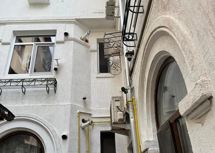 Casa Buliga Apartament 4 Crangasi Regie Orhideea * Бухарест